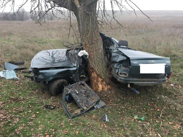 На Ставрополье «Лада» врезалась в дерево – водитель погиб