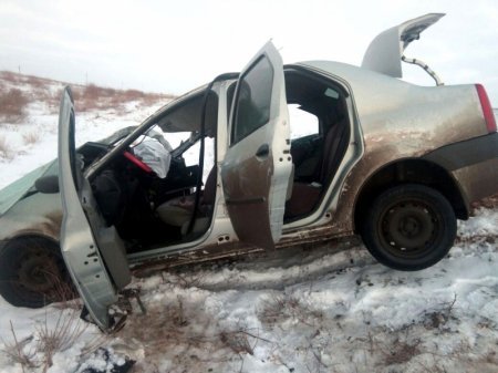 Под Астраханью из-за лошадей на трассе в ДТП погиб человек (2)