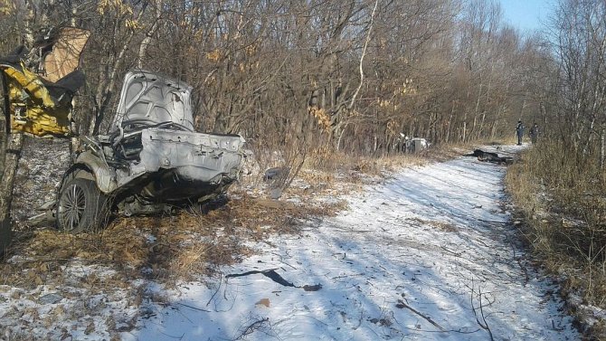 В ДТП с двумя «Тойотами» в Приморском крае погибли два человека (3)