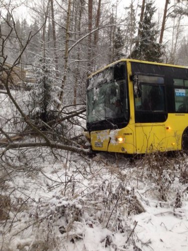 В Курортном районе Петербурга в ДТП с автобусом пострадала женщина (2)