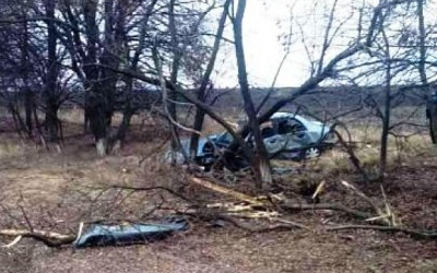 2-летний мальчик погиб в ДТП под Курском