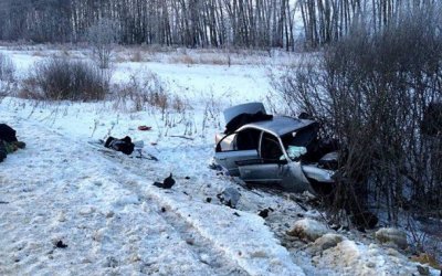 Два человека погибли в ДТП в Мордовии