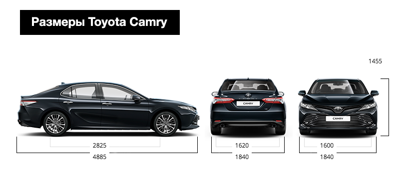 Сравнение тойота камри. Toyota Camry 2020 габариты. Toyota Camry 70 габариты. Габариты Тойота Камри 2021. Габариты Тойота Камри 2019.