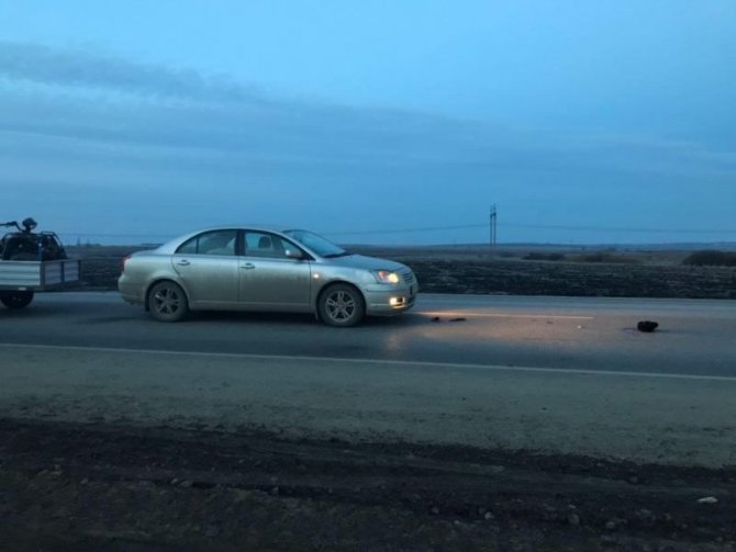 В Михайловском районе автомобиль с прицепом сбил мужчину (1)