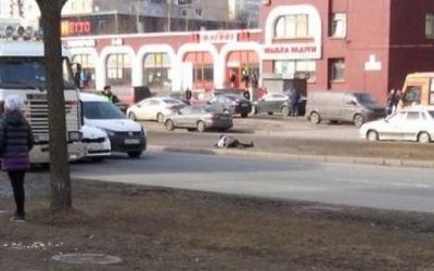 В Петербурге иномарка насмерть сбила женщину