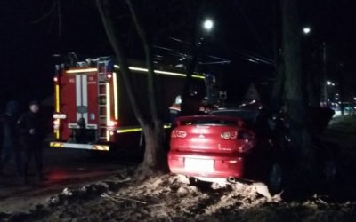 В Коврове иномарка врезалась в дерево - погиб пассажир