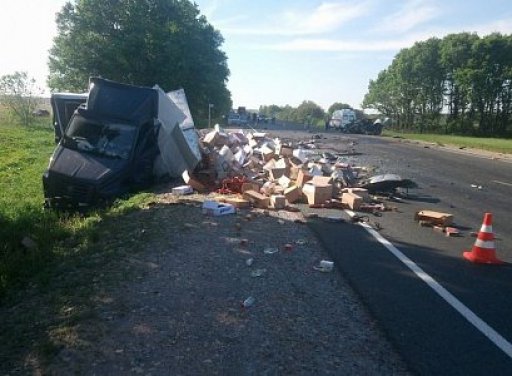 В ДТП в Шиловском районе Рязанской области погиб водитель (2)