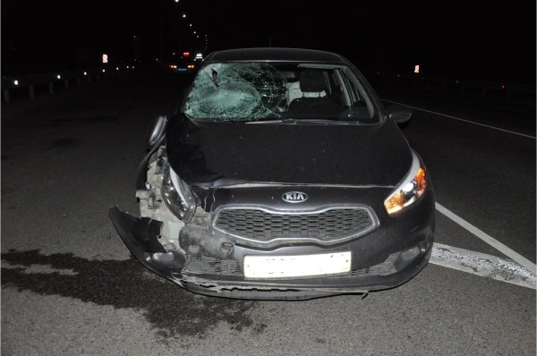 В Скопинском районе водителя, вышедшего на дорогу, насмерть сбила машина