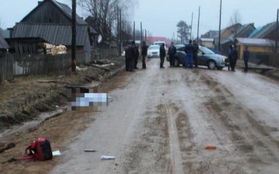 В Прикамье ВАЗ насмерть сбил 9-летнюю девочку