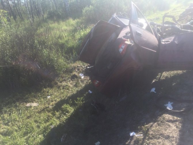 Два человека погибли в ДТП с лосем на трассе «Кола» в Ленобласти (2)
