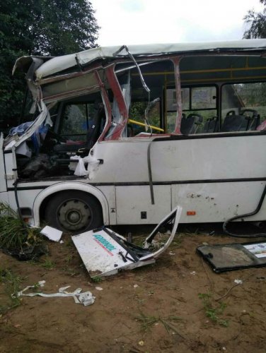 Три человека погибли в ДТП с микроавтобусом в Ленобласти (1)