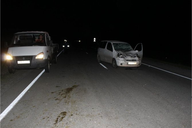 В ДТП с коровой в Новосибирской области погибла пассажирка иномарки