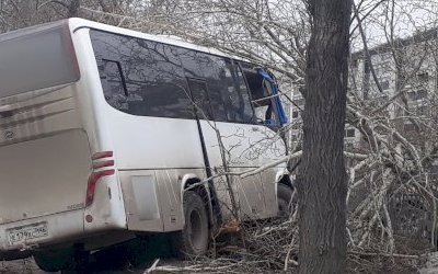 В Екатеринбурге водитель автобуса погиб, врезавшись в дерево