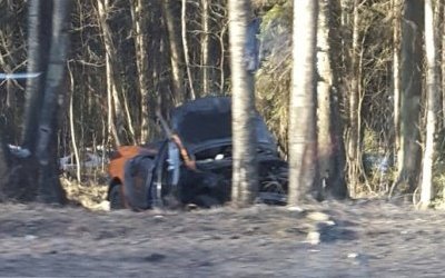 Водитель каршеринговой иномарки погиб в ДТП на Приморском шоссе