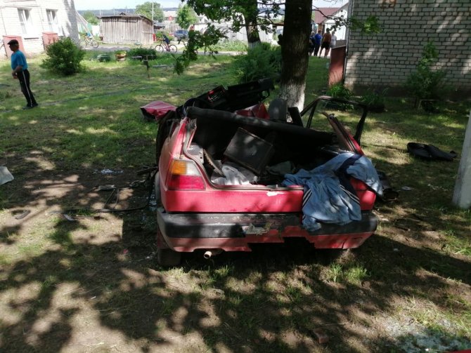 В Ленобласти иномарка врезалась в дерево – водитель погиб (3)