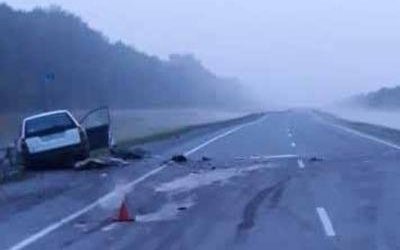Пассажирка иномарки погибла в ДТП в Новосибирской области