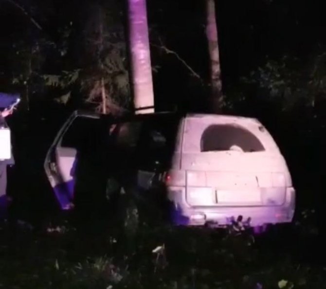 В Ленобласти ВАЗ врезался в дерево – погиб пассажир