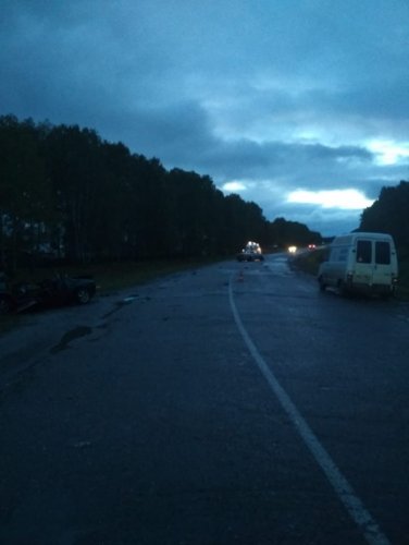 Водитель ВАЗа погиб в ДТП в Муромцевском районе Омской области (2)