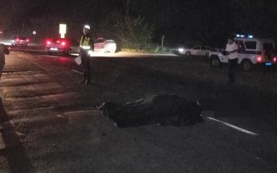 В Ростовской области водитель насмерть сбил пешехода и скрылся