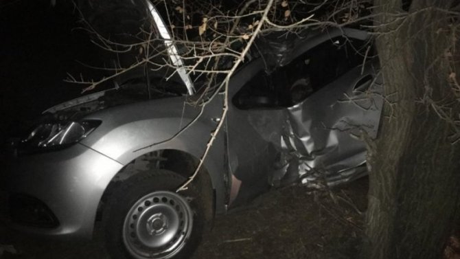 В Энгельсском районе иномарка врезалась в дерево – погиб пассажир