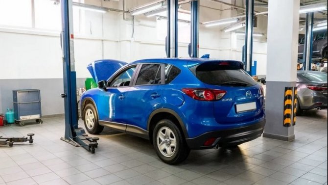 Ваша Mazda будет жить вечно