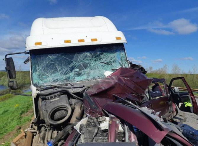Два человека погибли в ДТП с грузовиком в Котласском районе (2)