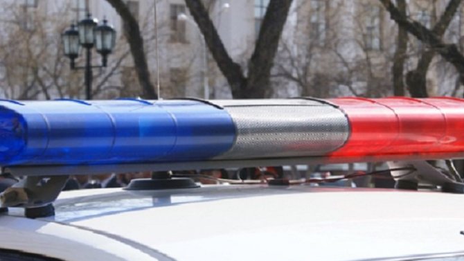 В Ростовской области «Москвич» врезался в дерево – водитель погиб