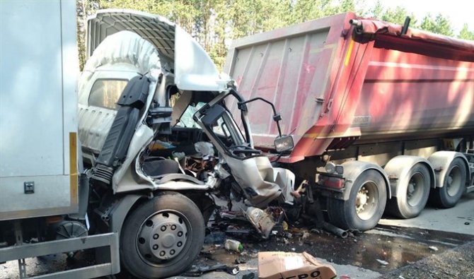 В ДТП с грузовиками в Томской области погиб человек (2)