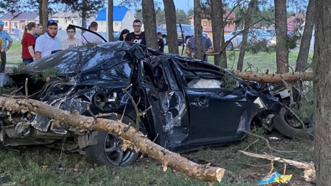 В Воронеже иномарка врезалась в столб и деревья – водитель погиб
