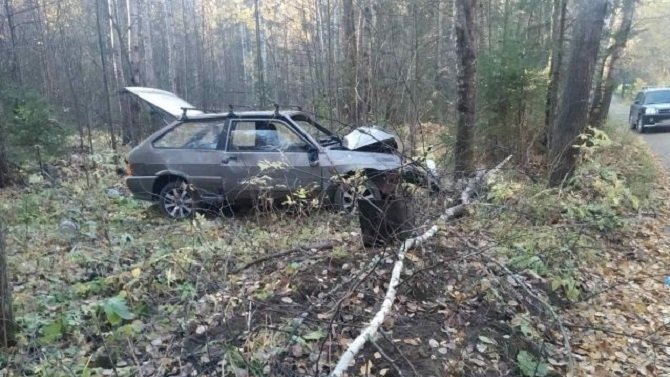 В Ижевске пьяный водитель врезался в дерево – пострадали трое