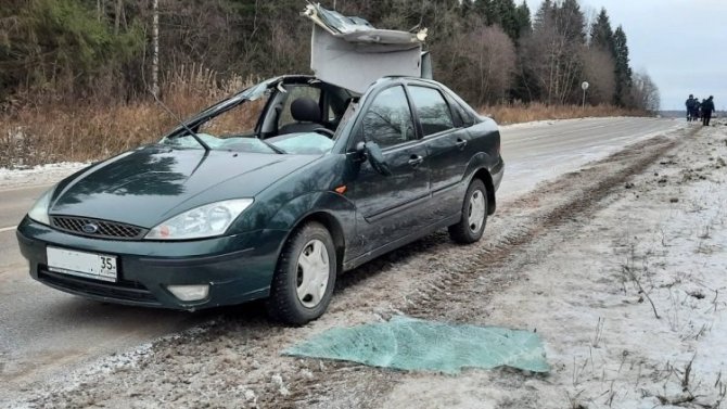 Два человека пострадали в ДТП с лосем в Грязовецком районе Вологодской области