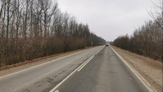 В Одоевском районе Тульской области иномарка насмерть сбила женщину