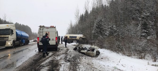 В ДТП с грузовиком в Ленобласти погибли два человека (3)