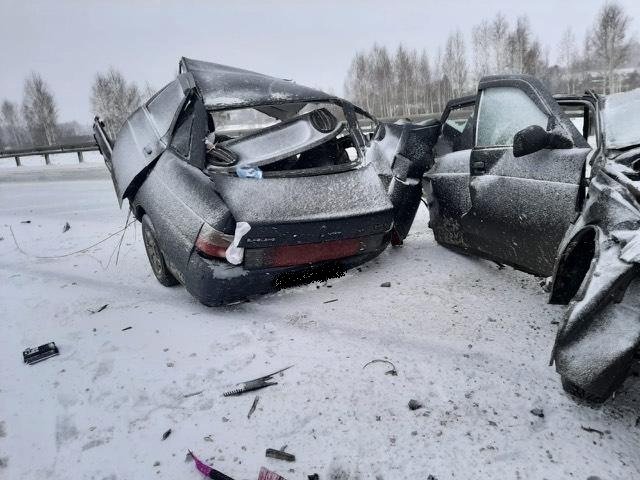 Женщина-водитель погибла в ДТП в Курганской области (4)