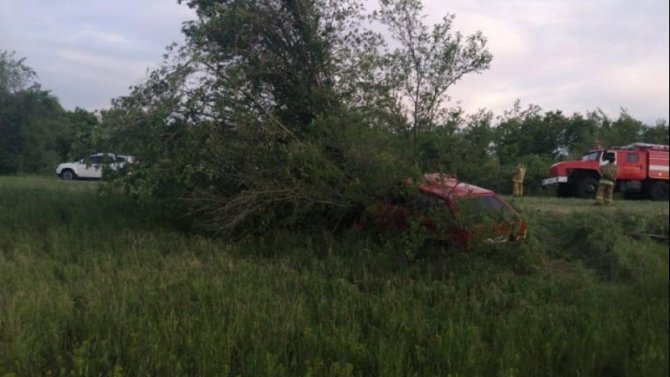 В Волгоградской области ВАЗ врезался в дерево – погибли двое