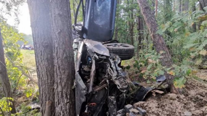 В Брянской области автомобиль врезался в дерево – водитель погиб