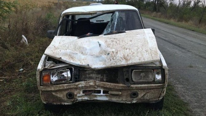 В Ростовской области водитель без прав сбил женщину, шедшую в темноте посреди дороги