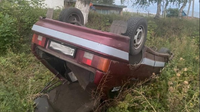 В Тамбовской области пьяный водитель насмерть сбил 11-летнюю девочку