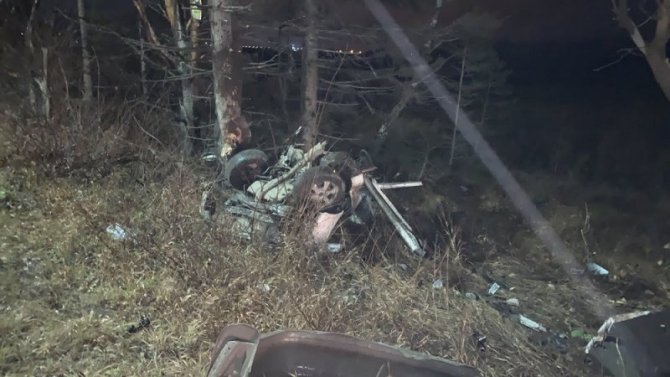В ДТП в Тюменской области погиб водитель автомобиля с собакой