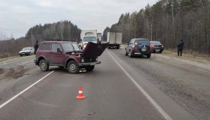 73-летний водитель пострадал в ДТП в Брянской области (2)