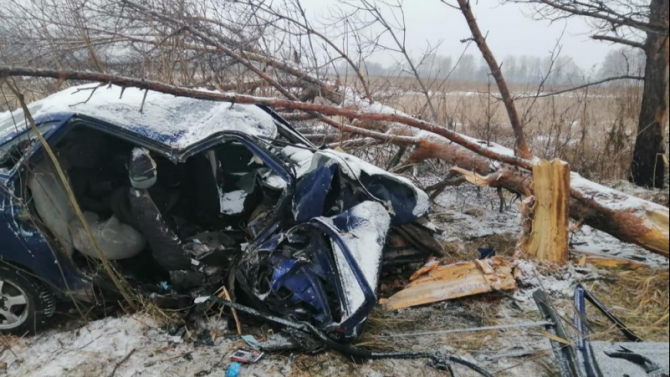 В Омской области ВАЗ врезался в дерево – погиб человек