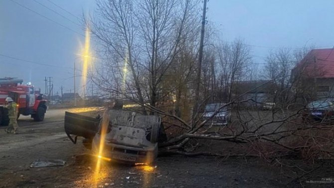 В Волгоградской области ВАЗ врезался в дерево – водитель погиб