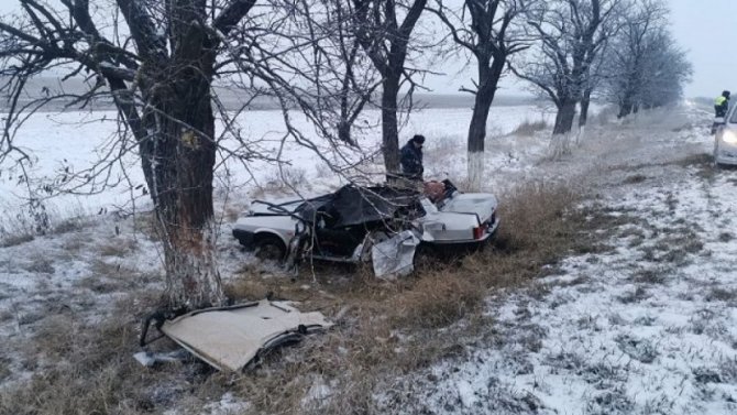 На Ставрополье ВАЗ врезался в дерево – водитель погиб