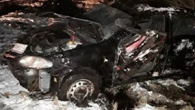 В Псковской области автомобиль вылетел в кювет – пострадали два человека