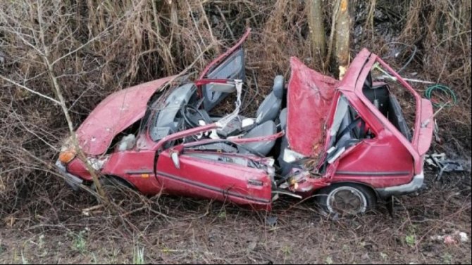В Псковской области автомобиль врезался в дерево – водитель погиб