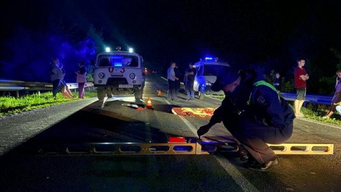 В Брянской области водитель насмерть сбил 22-летнего пешехода и скрылся
