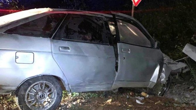 Водитель и пассажирка погибли в ДТП в Старорусском районе Новгородской области