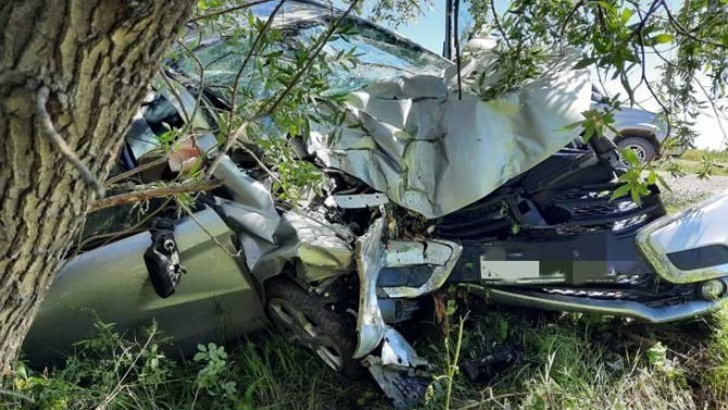 В Новосибирской области «Лада» врезалась в дерево – водитель погиб