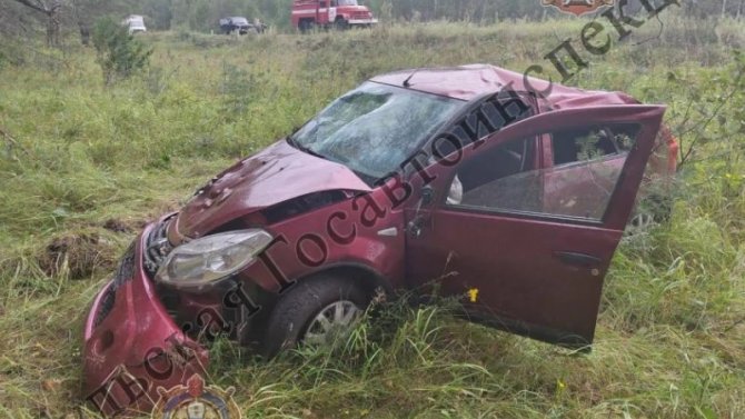 Два человека пострадали по вине пьяного водителя в Тульской области