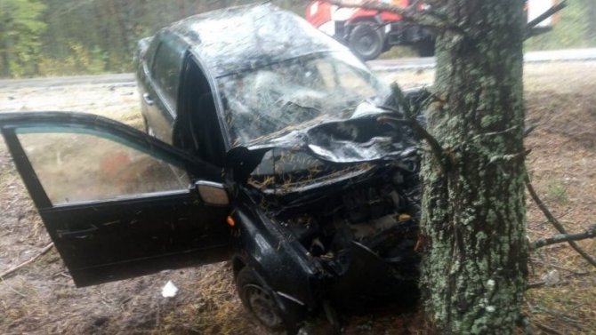 В Брянской области «Лада» врезалась в дерево – водитель погиб